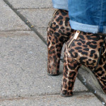High Heeled Leopard Print Boots